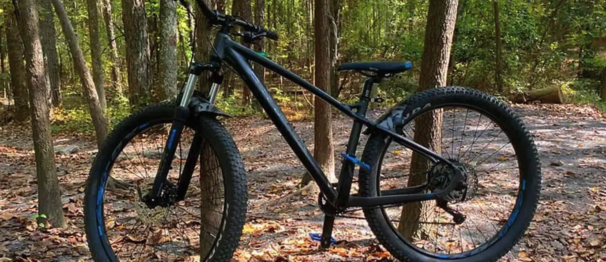 an image of a bike in the woods