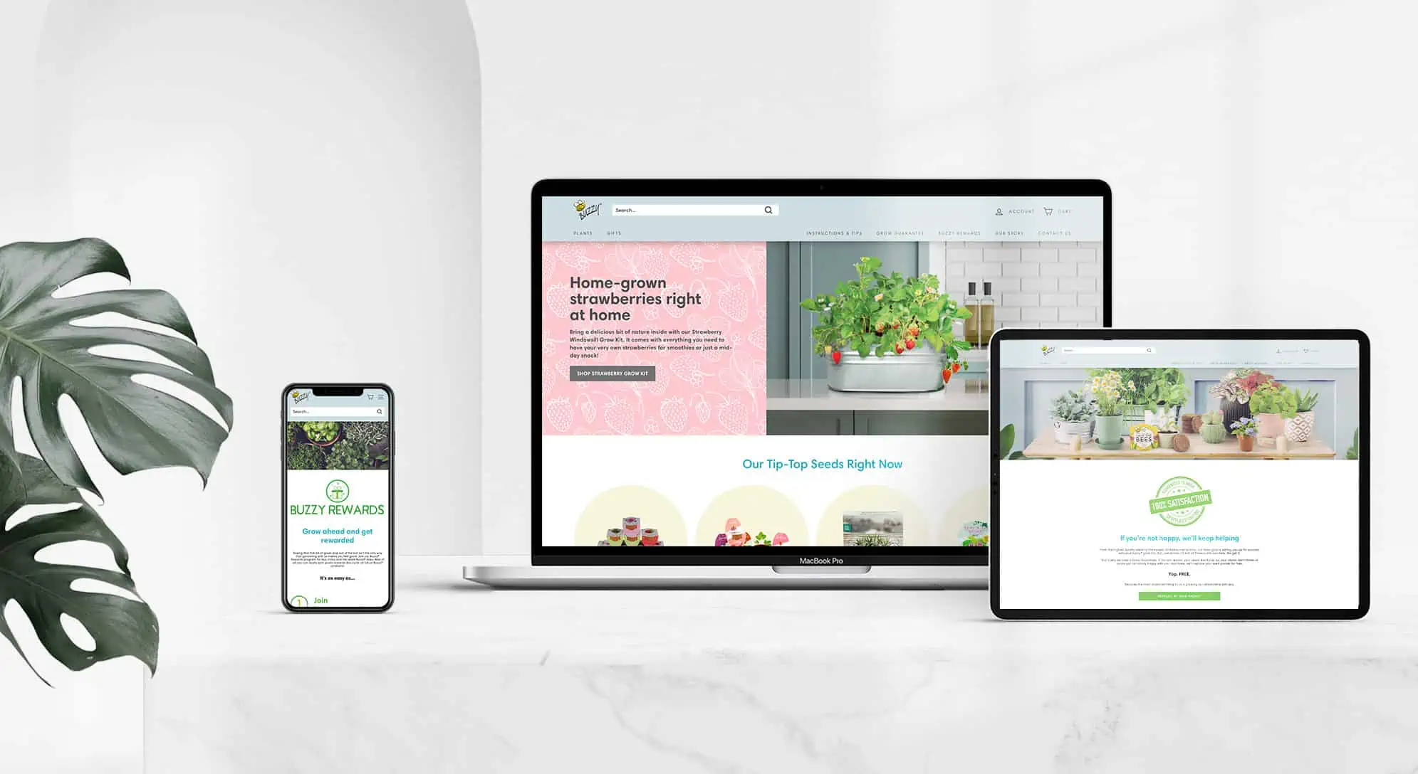 an image of the buzzy seeds website on multiple devices