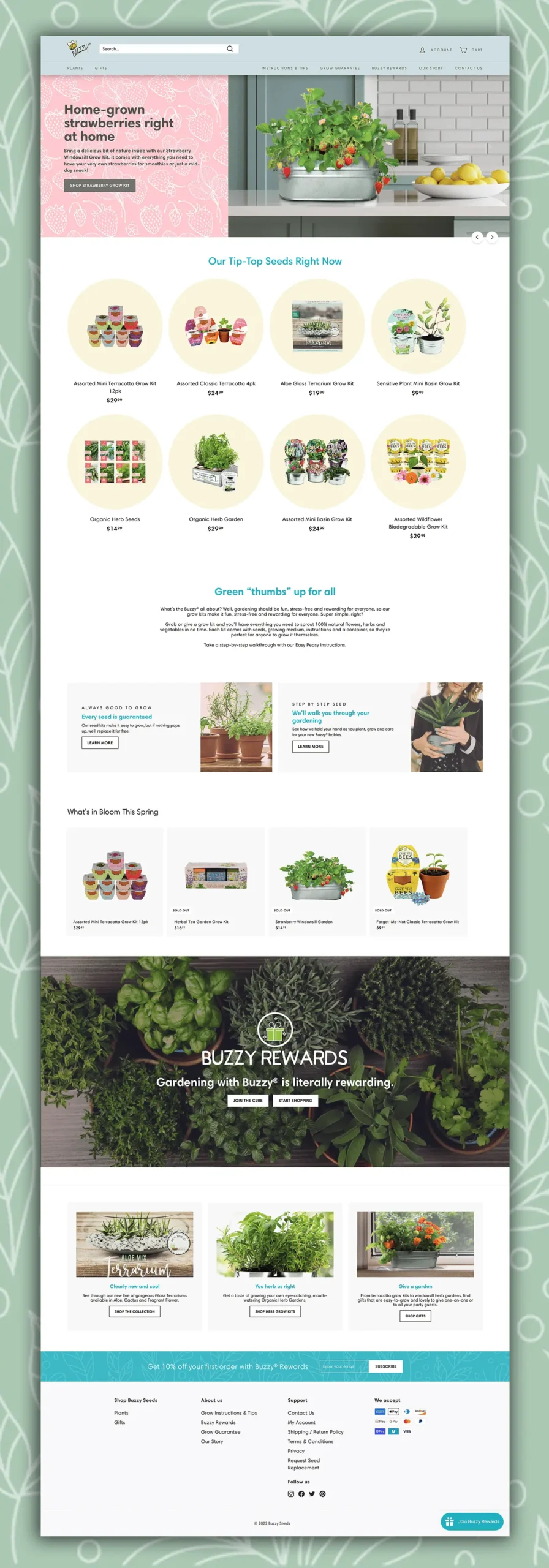 an image of the buzzy seeds website