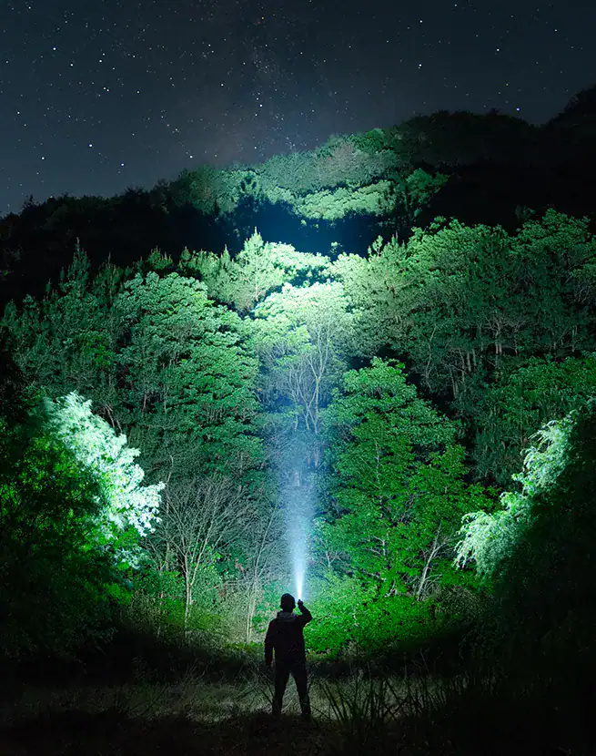 an image of someone shining a light in the woods
