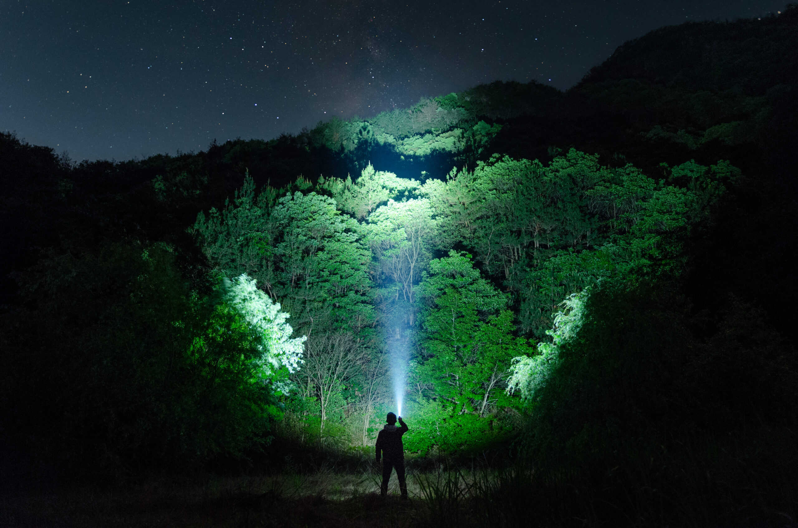 an image of someone shining a light in the woods